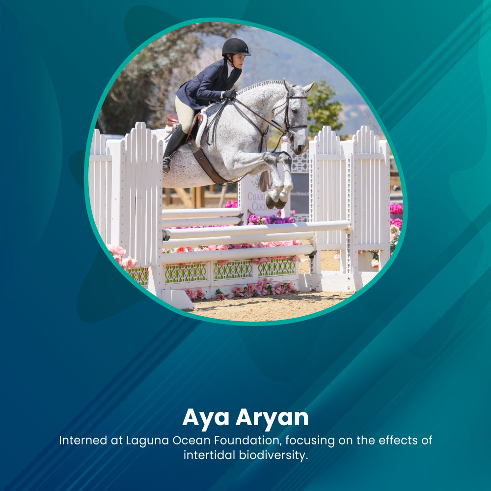 Photography of Aya Aryan
