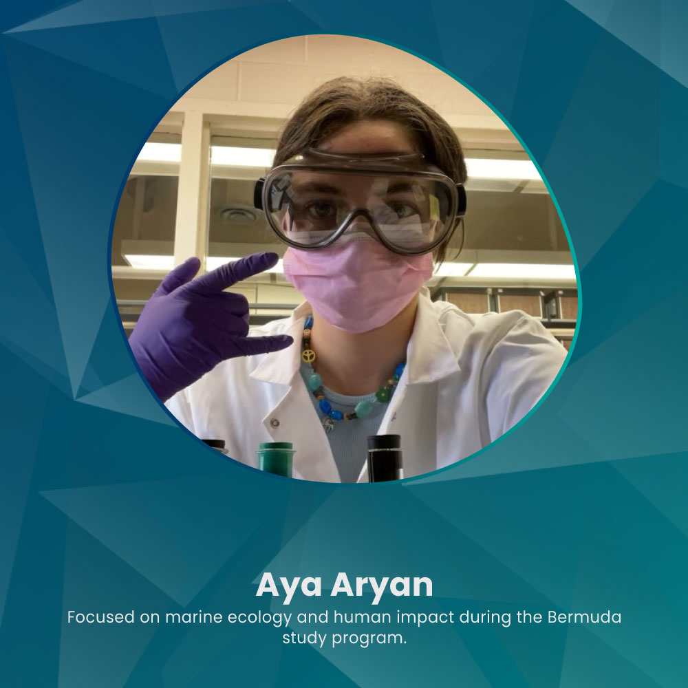 Aya Aryan Images 2025